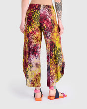 Load image into Gallery viewer, Alembika Punto Pant SP717 - Petals
