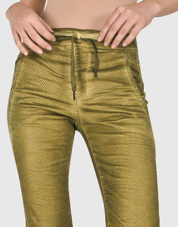 Alembika Stretch Jeans - Green Snake Print